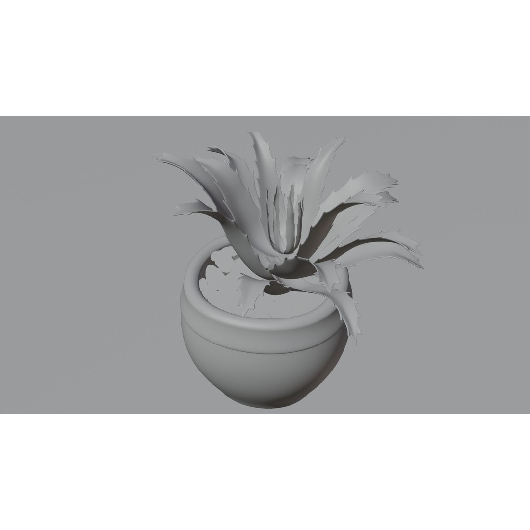 Succulent Plant 3D Model – Realistic PBR Asset, FBX & OBJ - View 14