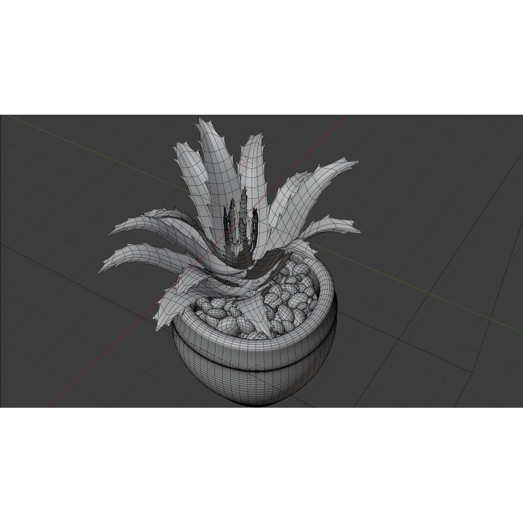 Succulent Plant 3D Model – Realistic PBR Asset, FBX & OBJ - View 6
