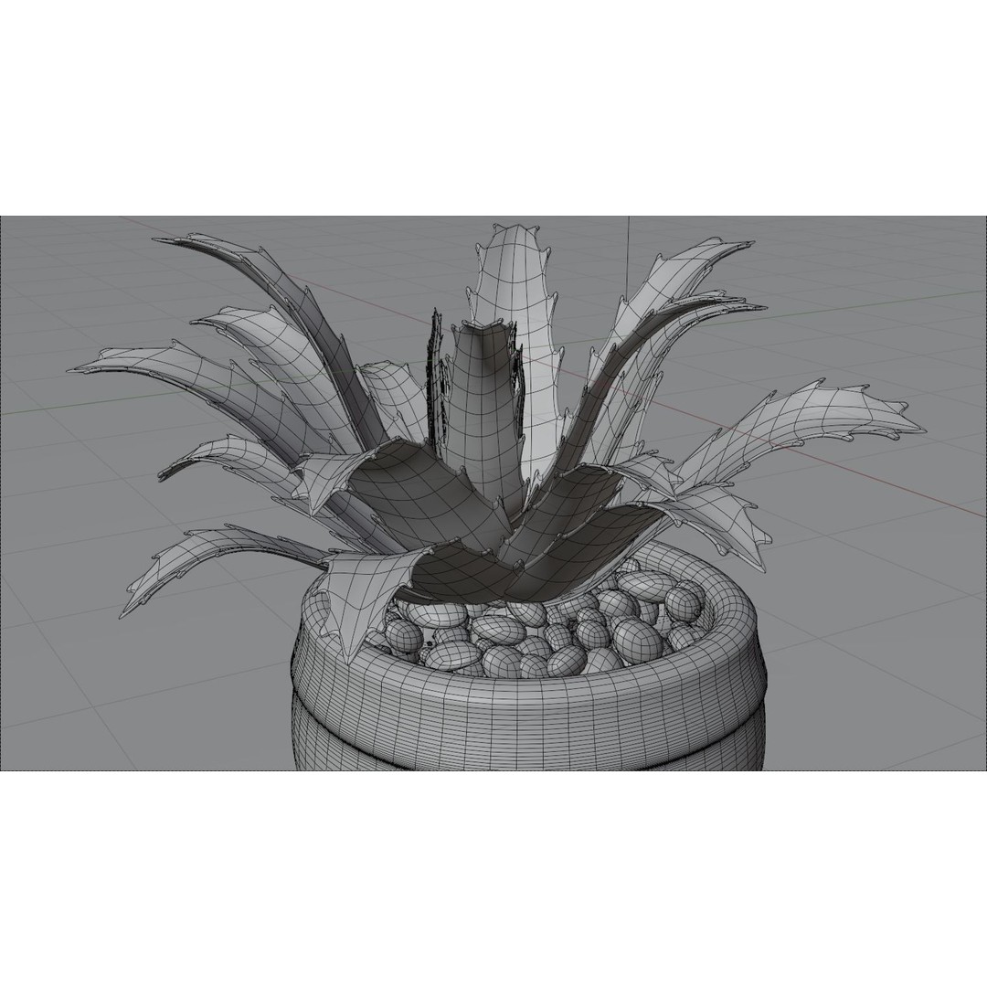 Succulent Plant 3D Model – Realistic PBR Asset, FBX & OBJ - View 7