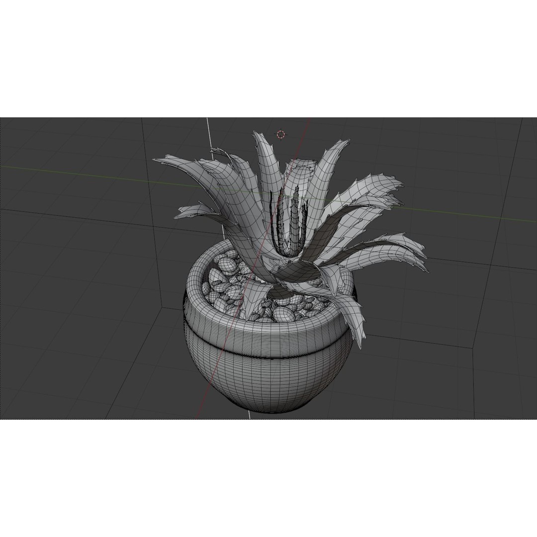 Succulent Plant 3D Model – Realistic PBR Asset, FBX & OBJ - View 8