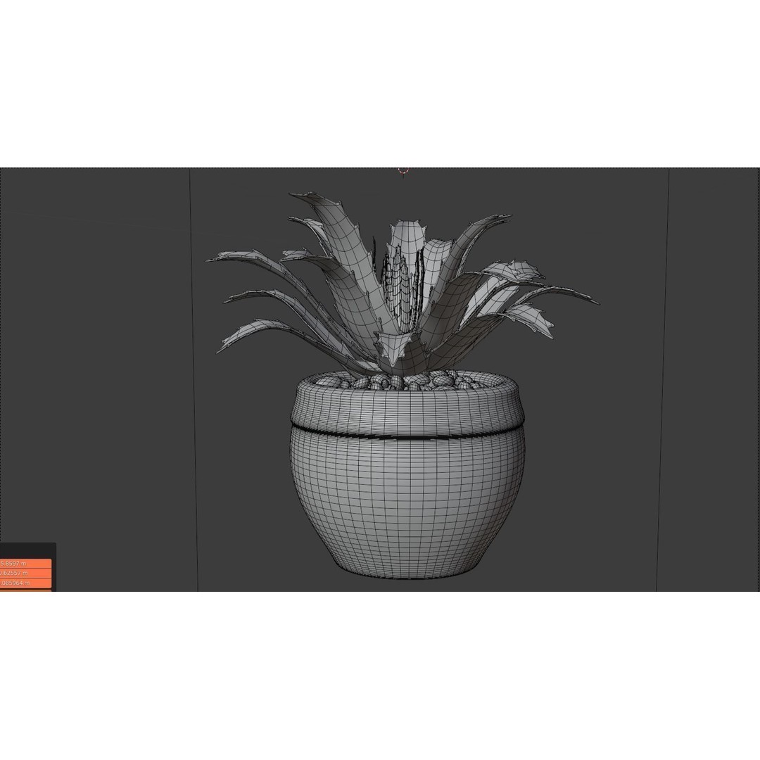 Succulent Plant 3D Model – Realistic PBR Asset, FBX & OBJ - View 9