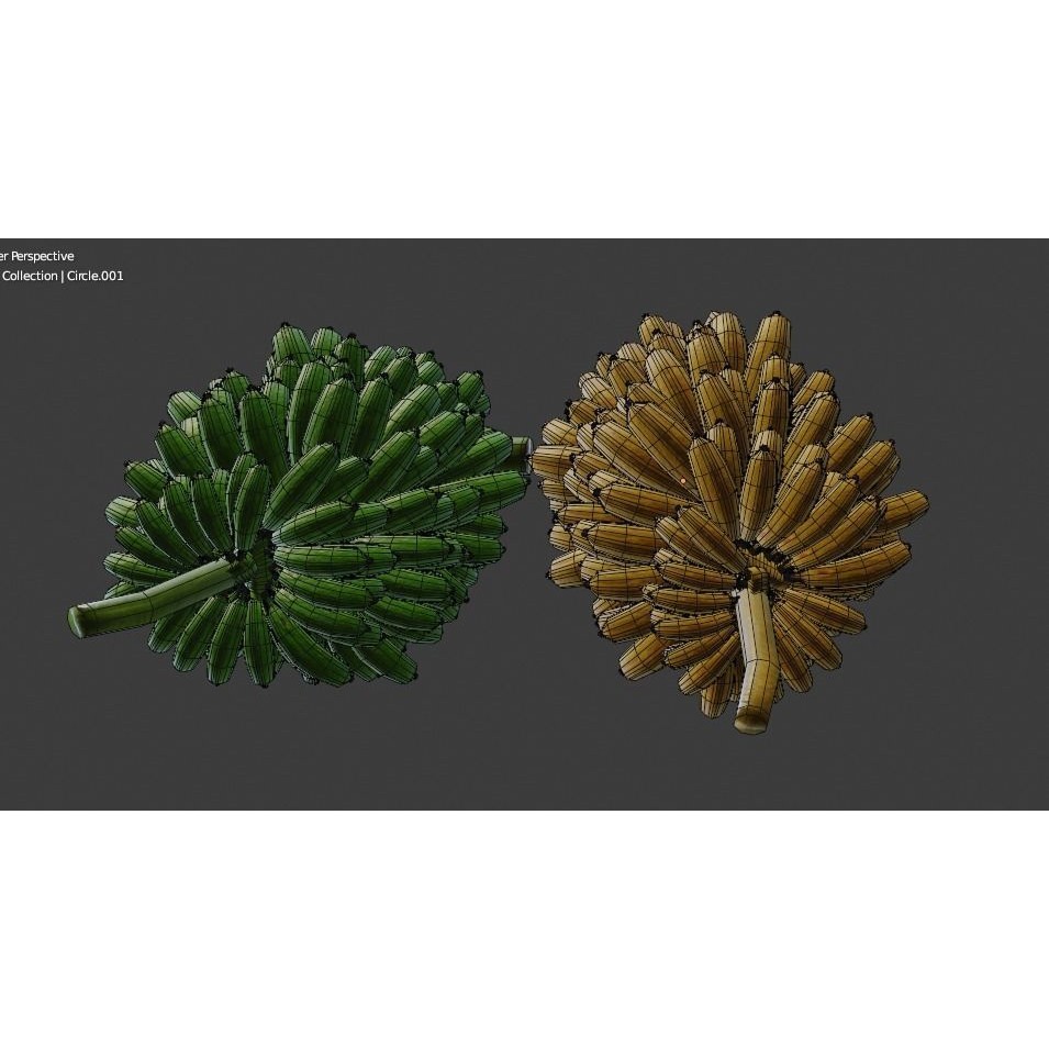 Green and Yellow Bananas 3D Model – Low Poly PBR Asset, FBX, OBJ, Blender