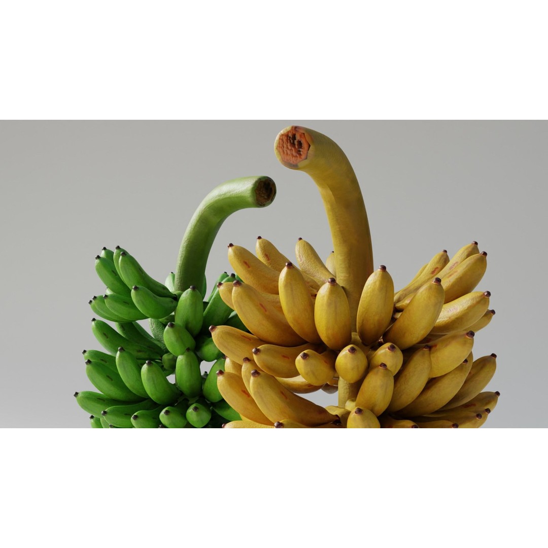 Green and Yellow Bananas 3D Model – Low Poly PBR Asset, FBX, OBJ, Blender - View 10