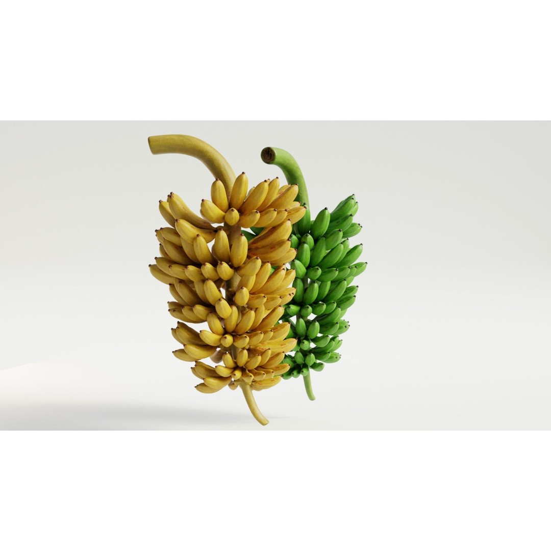 Green and Yellow Bananas 3D Model – Low Poly PBR Asset, FBX, OBJ, Blender - View 11