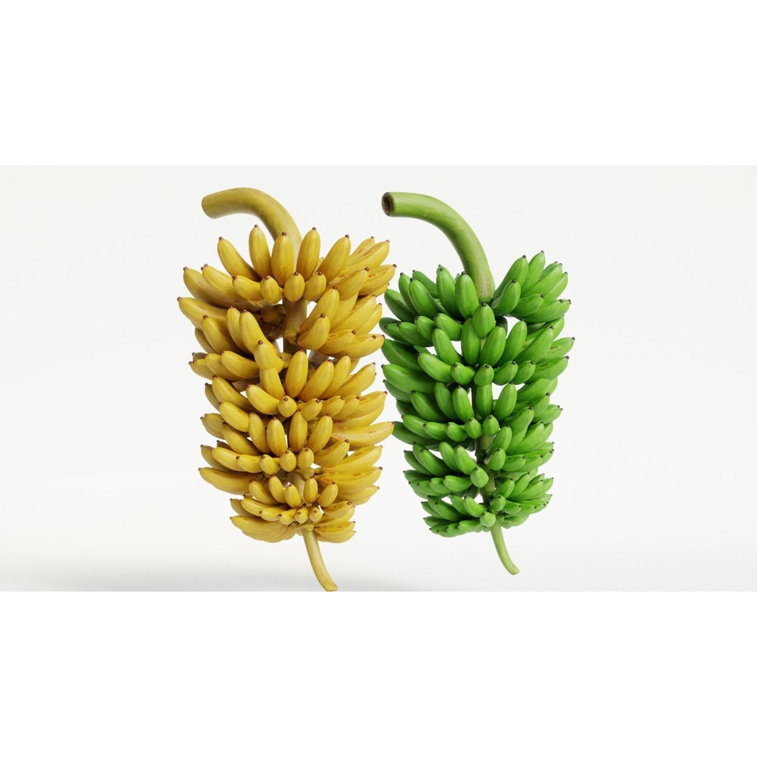 Green and Yellow Bananas 3D Model – Low Poly PBR Asset, FBX, OBJ, Blender - View 12