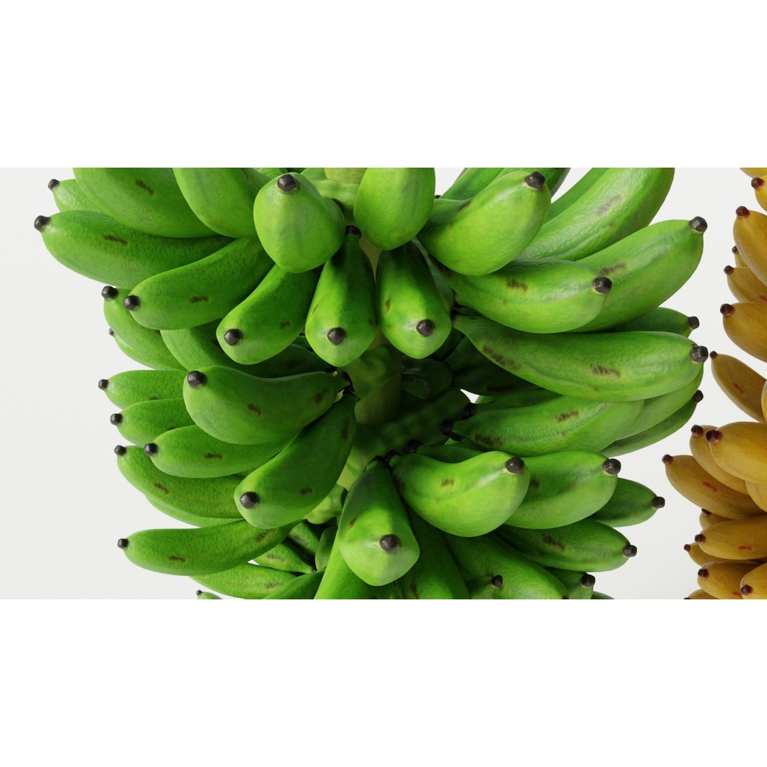 Green and Yellow Bananas 3D Model – Low Poly PBR Asset, FBX, OBJ, Blender - View 13
