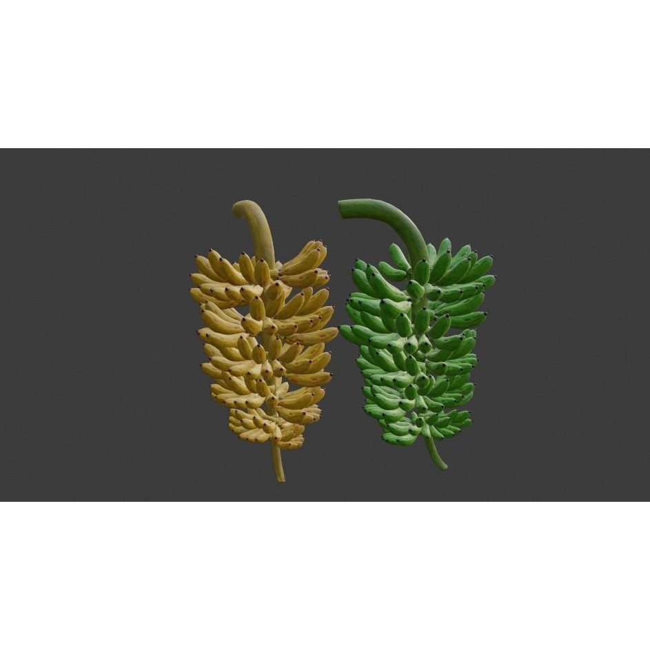 Green and Yellow Bananas 3D Model – Low Poly PBR Asset, FBX, OBJ, Blender - View 21