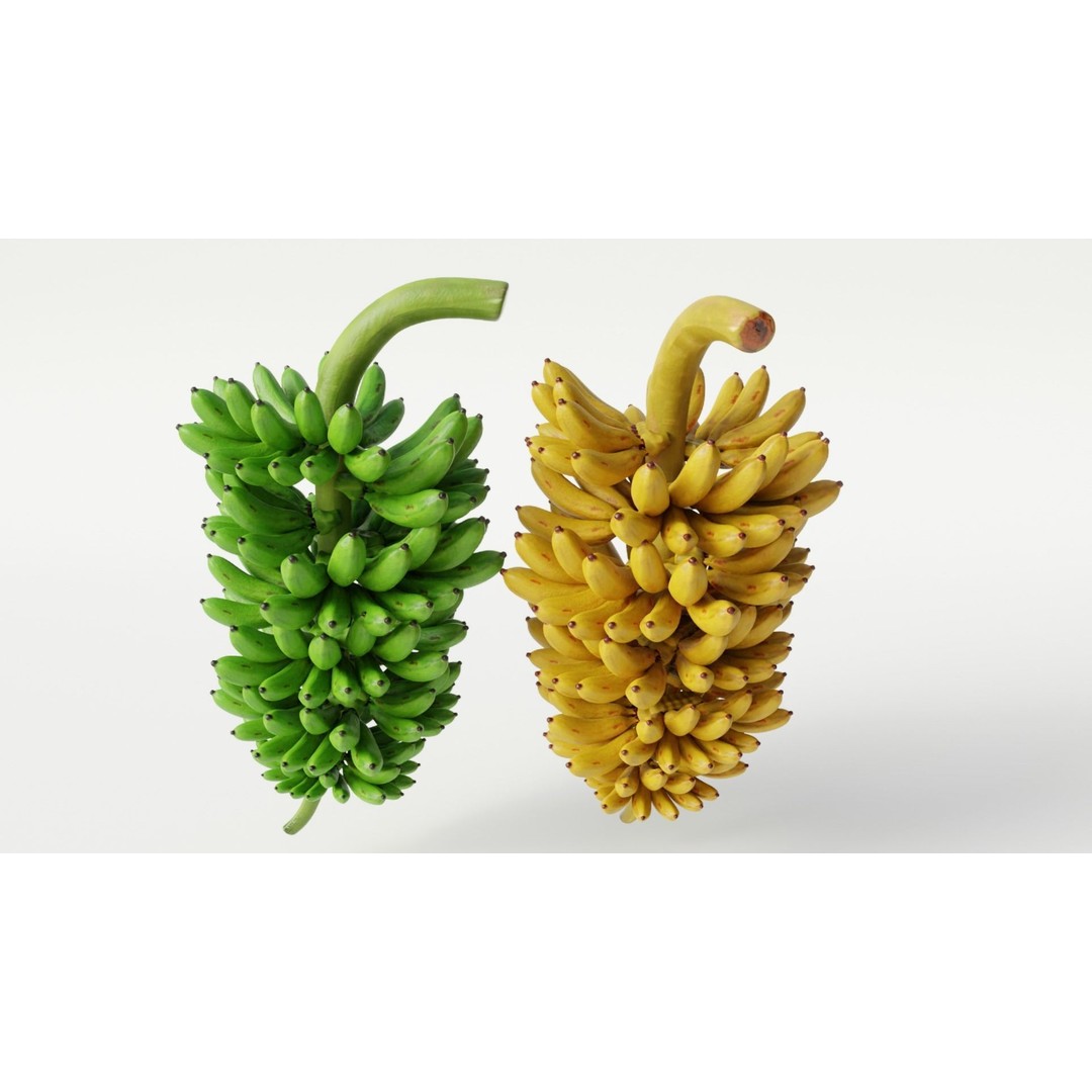 Green and Yellow Bananas 3D Model – Low Poly PBR Asset, FBX, OBJ, Blender - View 3