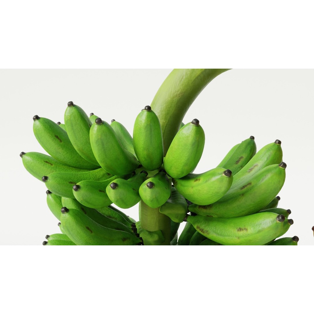Green and Yellow Bananas 3D Model – Low Poly PBR Asset, FBX, OBJ, Blender - View 4
