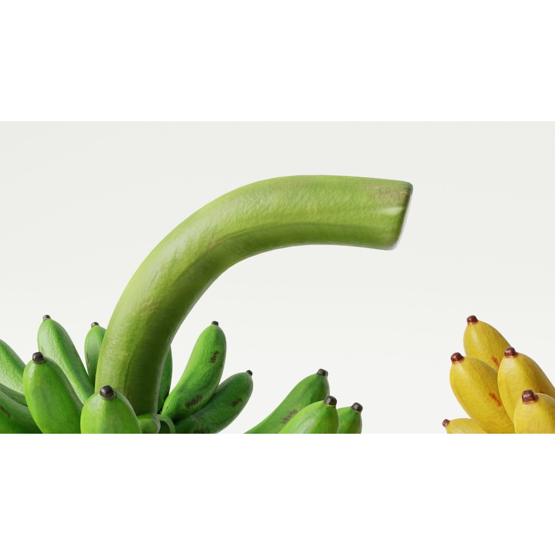 Green and Yellow Bananas 3D Model – Low Poly PBR Asset, FBX, OBJ, Blender - View 5