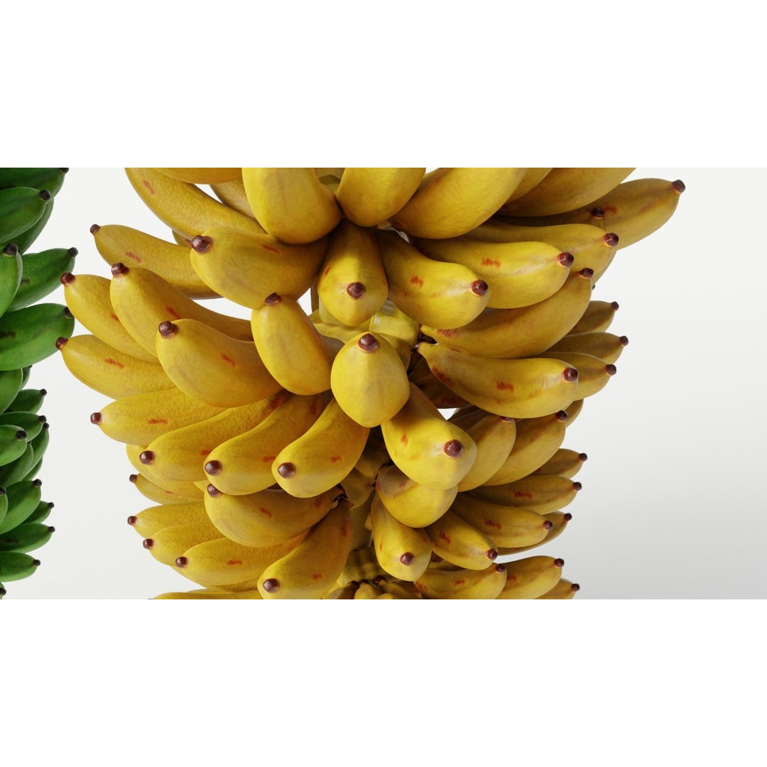 Green and Yellow Bananas 3D Model – Low Poly PBR Asset, FBX, OBJ, Blender - View 7