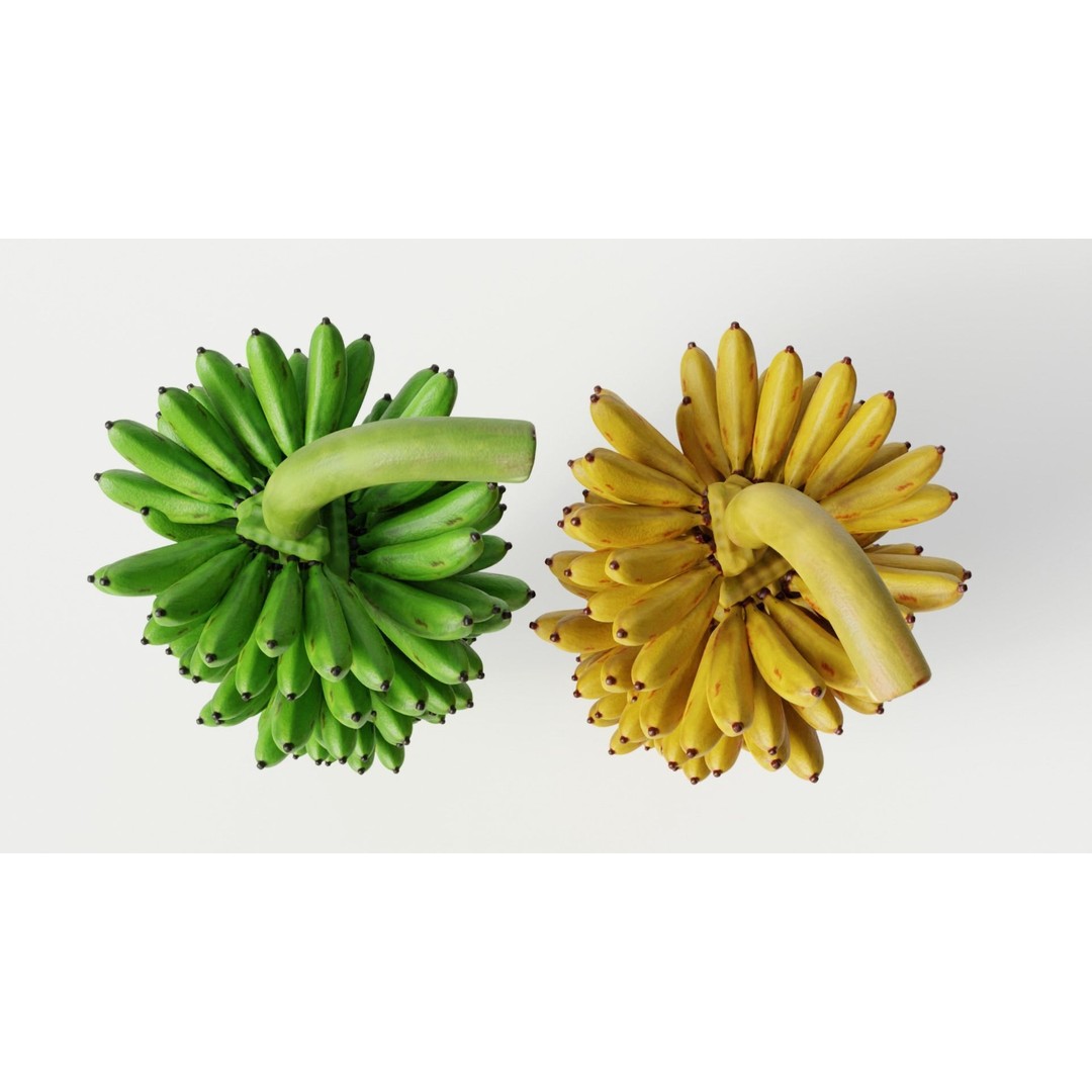 Green and Yellow Bananas 3D Model – Low Poly PBR Asset, FBX, OBJ, Blender - View 8