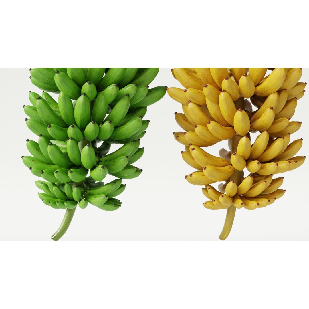 Green and Yellow Bananas 3D Model – Low Poly PBR Asset, FBX, OBJ, Blender - View 9