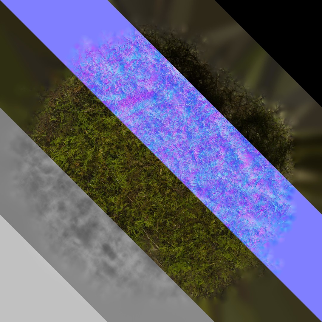 Moss 3D Model – Realistic 4K Texture Pack for Nature Environments - View 11