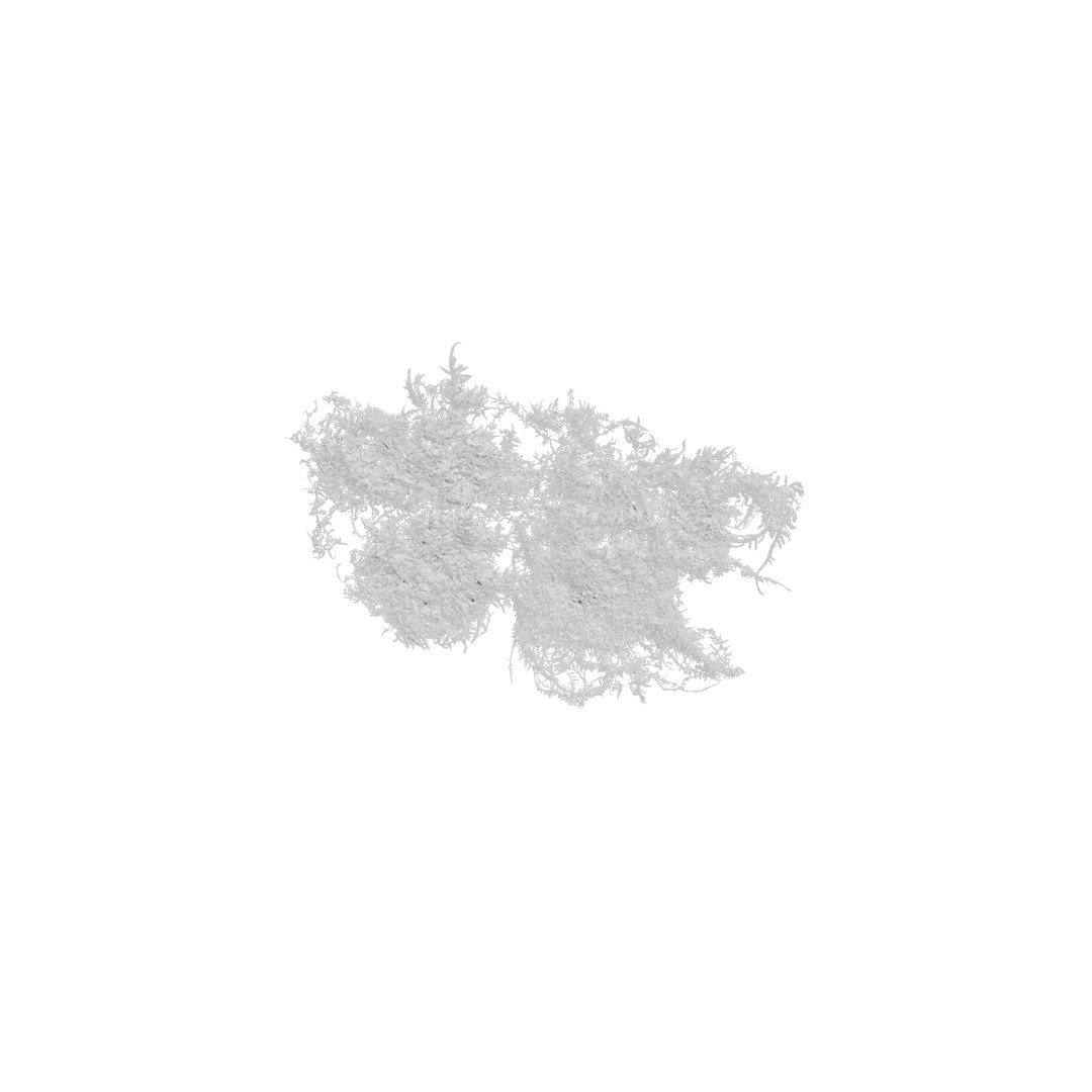 Moss 3D Model – Realistic 4K Texture Pack for Nature Environments - View 17