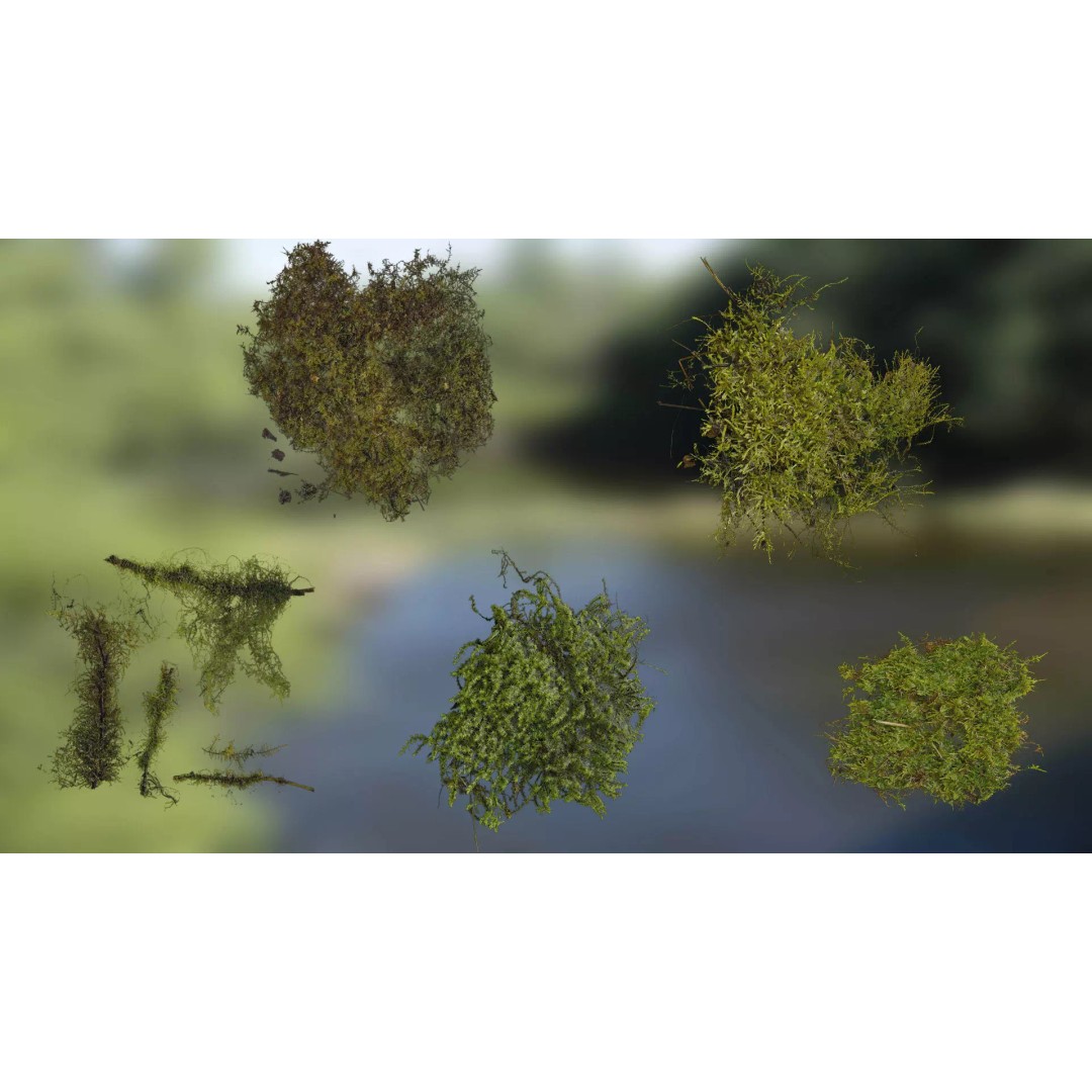 Moss 3D Model – Realistic 4K Texture Pack for Nature Environments - View 2