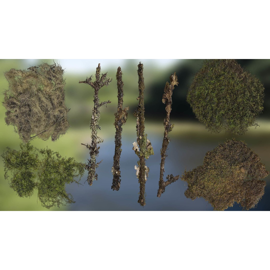 Moss 3D Model – Realistic 4K Texture Pack for Nature Environments - View 3