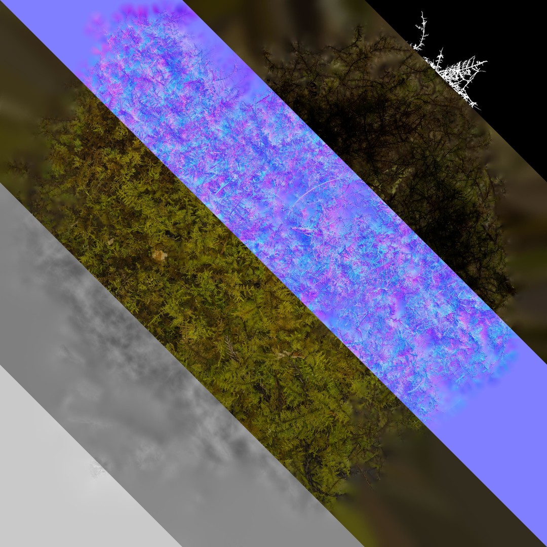 Moss 3D Model – Realistic 4K Texture Pack for Nature Environments - View 4