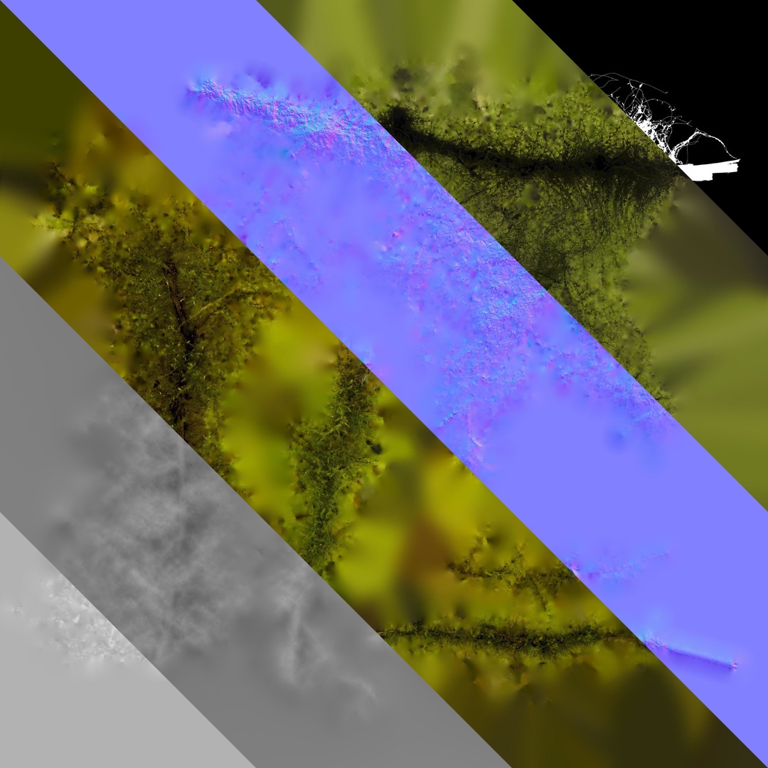 Moss 3D Model – Realistic 4K Texture Pack for Nature Environments - View 5