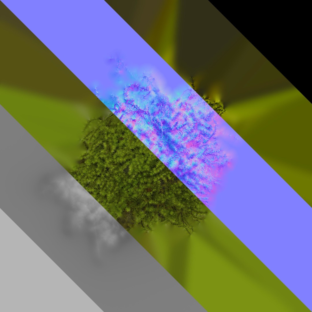 Moss 3D Model – Realistic 4K Texture Pack for Nature Environments - View 7