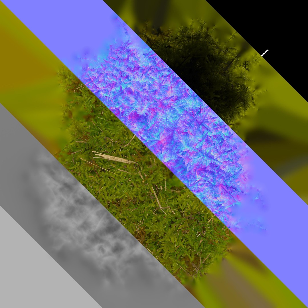 Moss 3D Model – Realistic 4K Texture Pack for Nature Environments - View 8