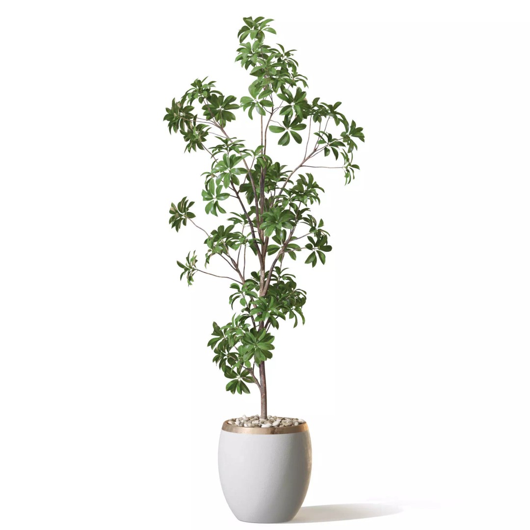 Plant 1322 3D Model – High-Quality Pot Plant with PBR Textures - View 3