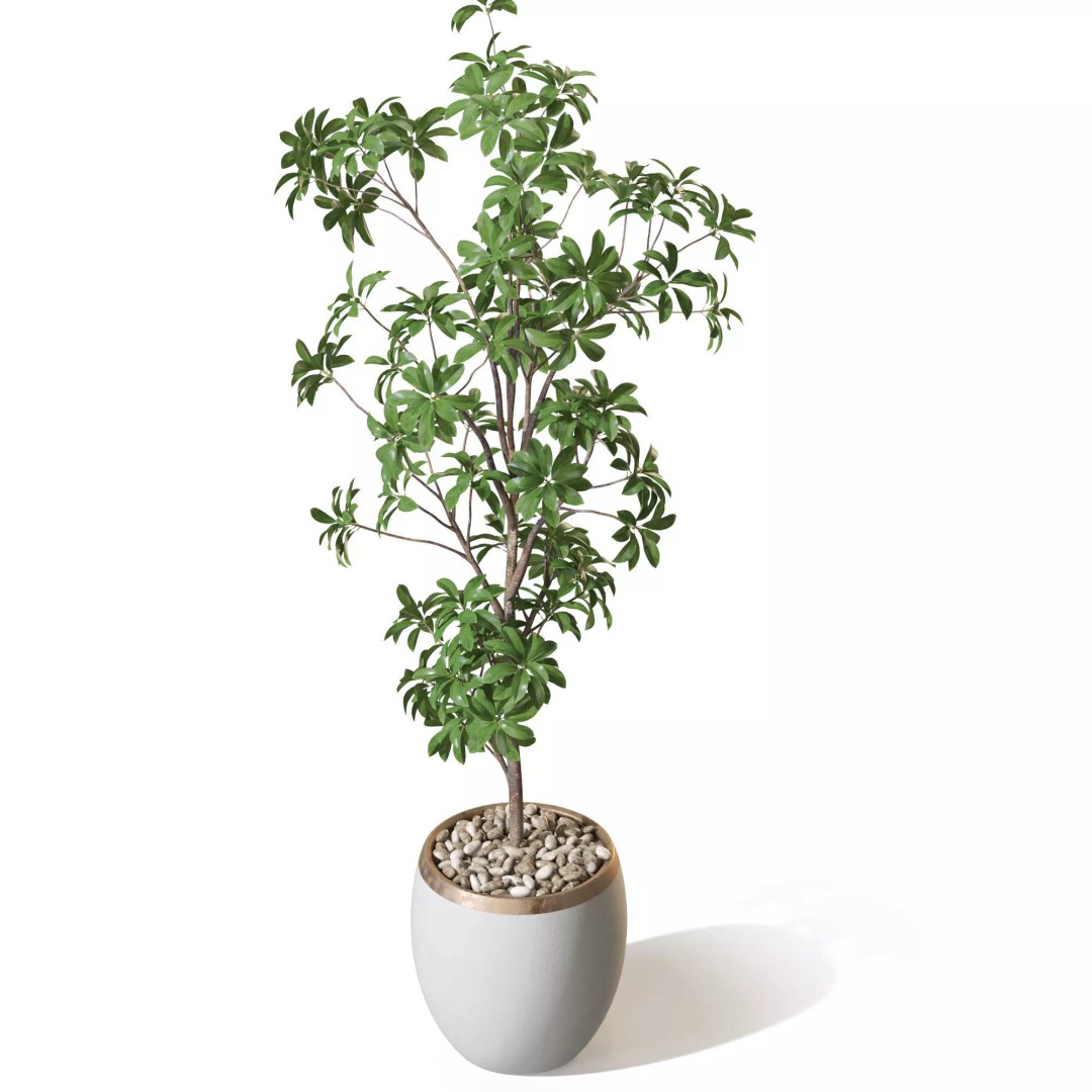 Plant 1322 3D Model – High-Quality Pot Plant with PBR Textures - View 5