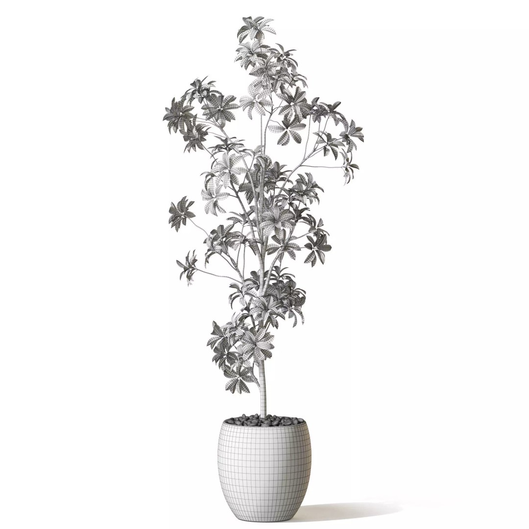 Plant 1322 3D Model – High-Quality Pot Plant with PBR Textures - View 6