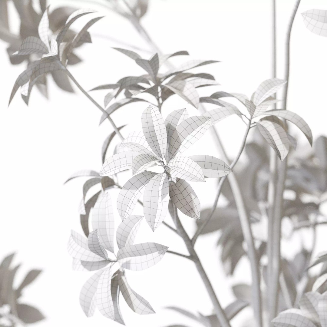 Plant 1322 3D Model – High-Quality Pot Plant with PBR Textures - View 7