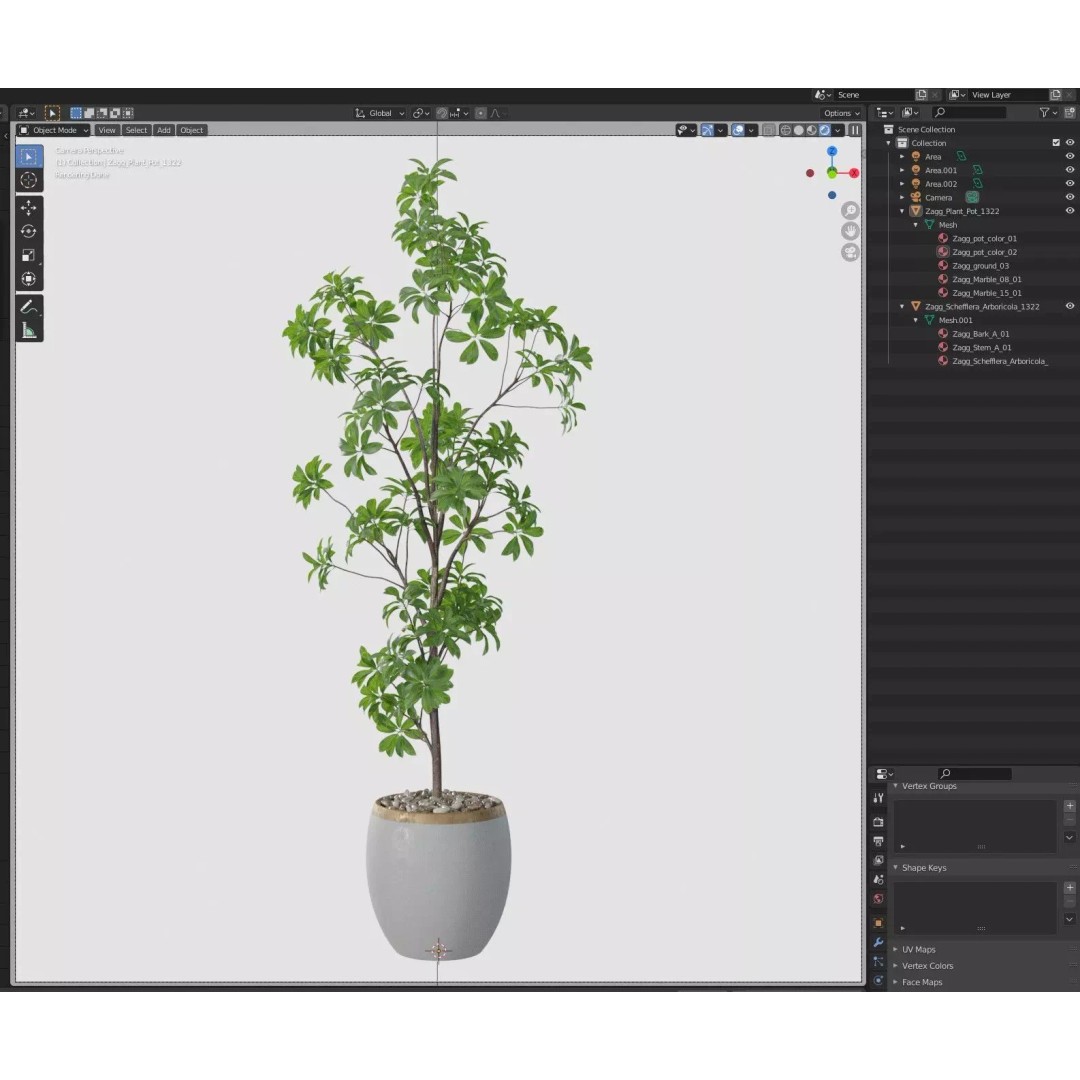 Plant 1322 3D Model – High-Quality Pot Plant with PBR Textures - View 8