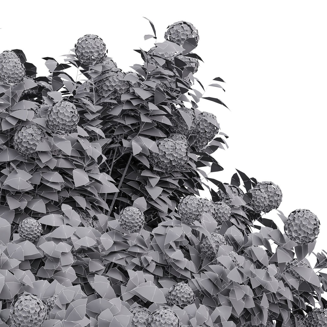 Viburnum Opulus Roseum 3D Model – High Detail PBR Plant Asset, FBX, Blender - View 4