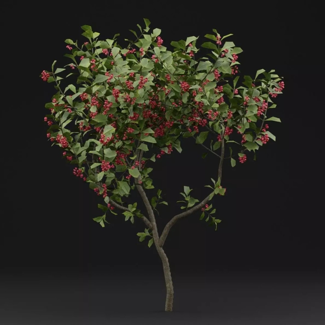 European Spindle Bush 3D Model – Realistic PBR Asset, FBX & OBJ