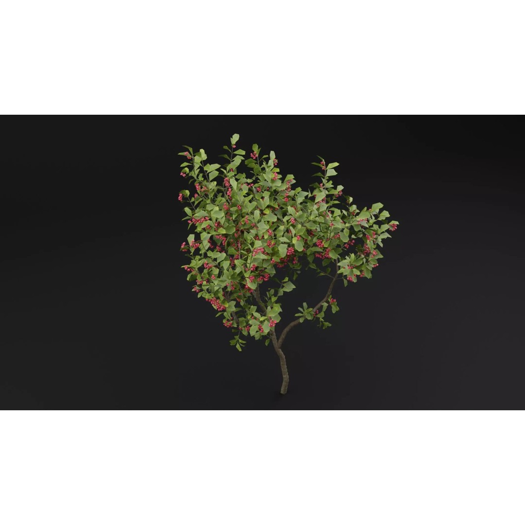 European Spindle Bush 3D Model – Realistic PBR Asset, FBX & OBJ - View 5