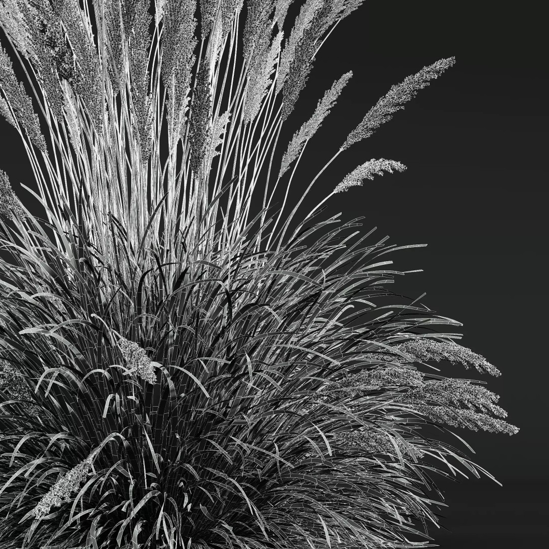 Calamagrostis Acutiflora Karl Foerster 3D Model – Ornamental Grass Set, FBX, Blender - View 15