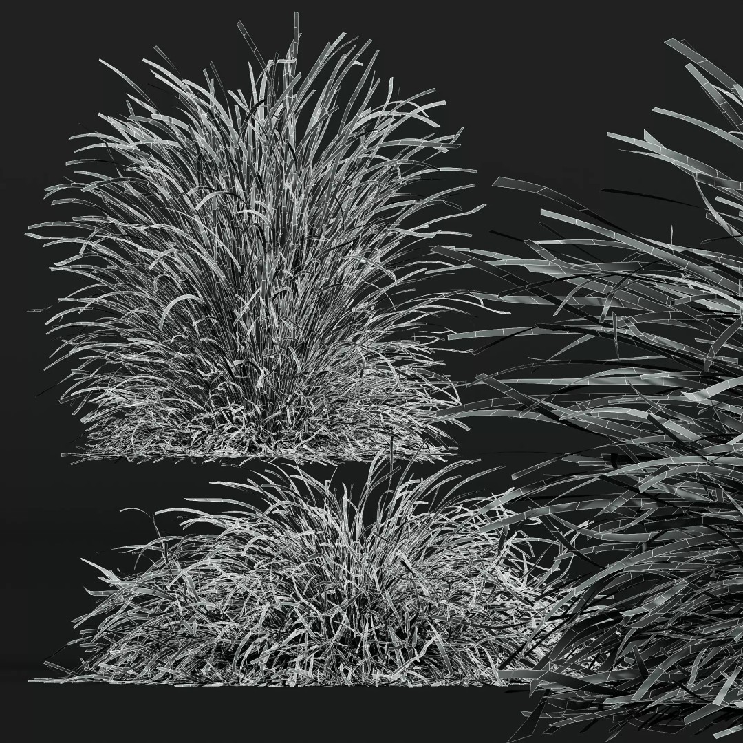 Calamagrostis Acutiflora Karl Foerster 3D Model – Ornamental Grass Set, FBX, Blender - View 16
