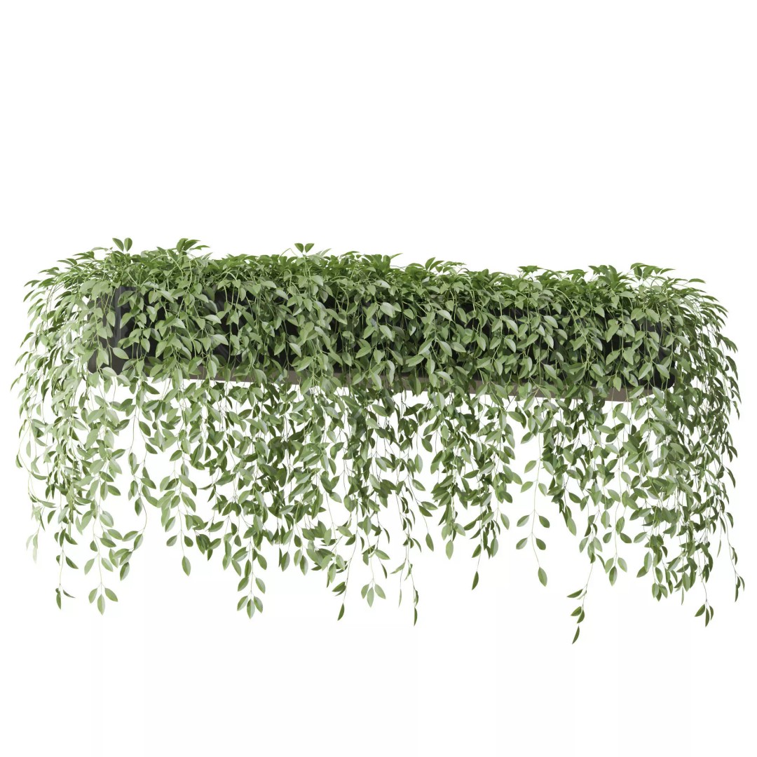 Plant 1300 3D Model – High-Quality PBR Asset for Archviz - View 3