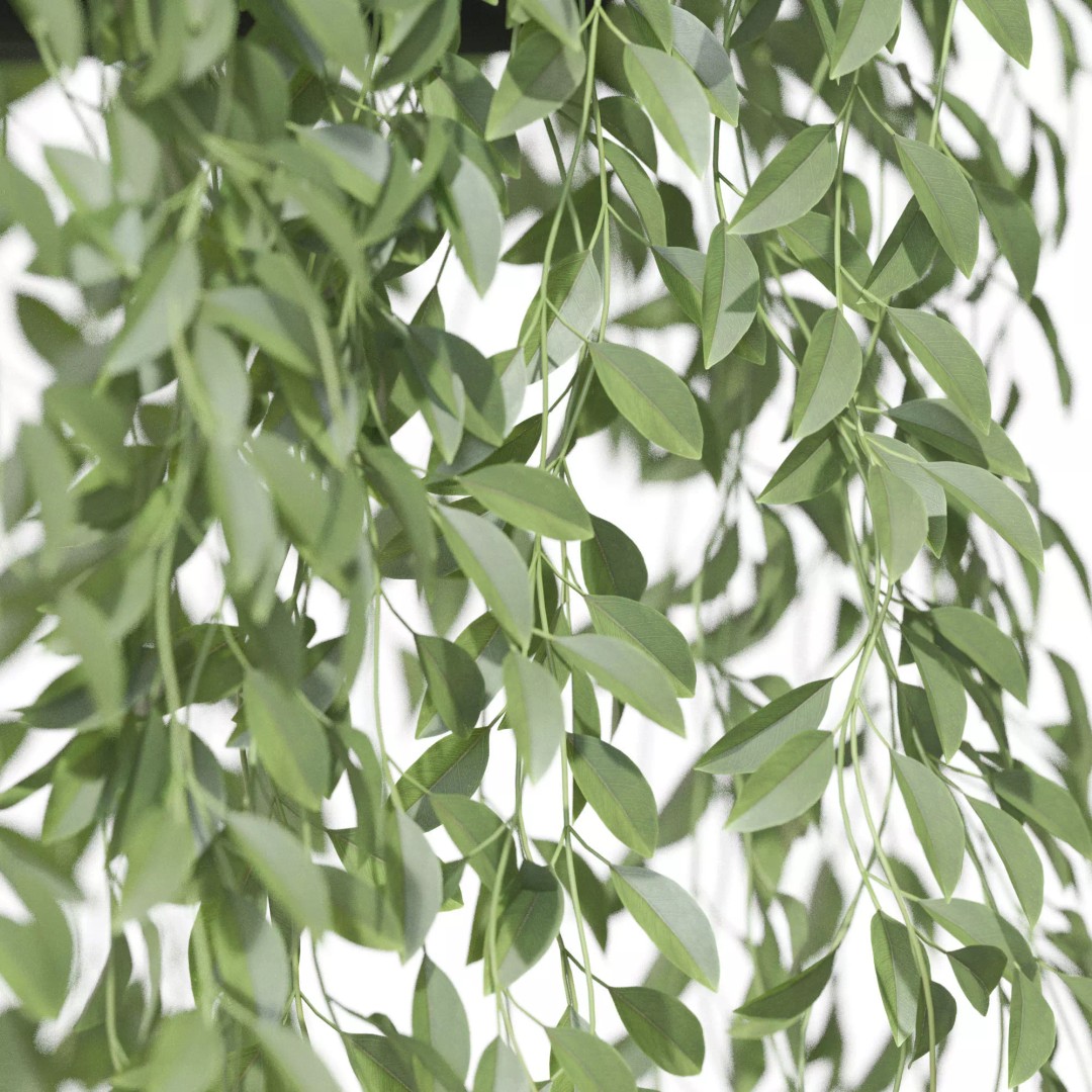 Plant 1300 3D Model – High-Quality PBR Asset for Archviz - View 4