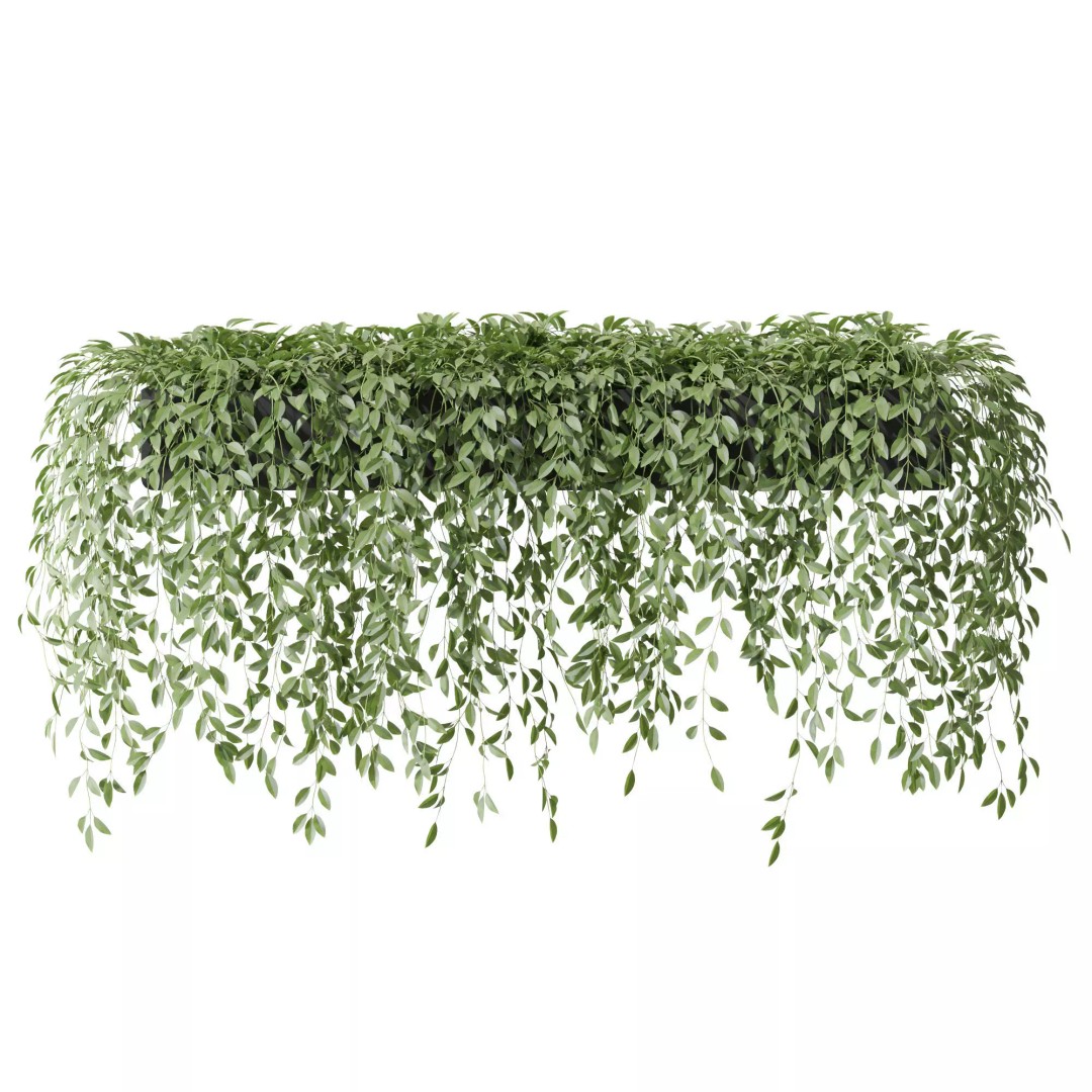 Plant 1300 3D Model – High-Quality PBR Asset for Archviz - View 5