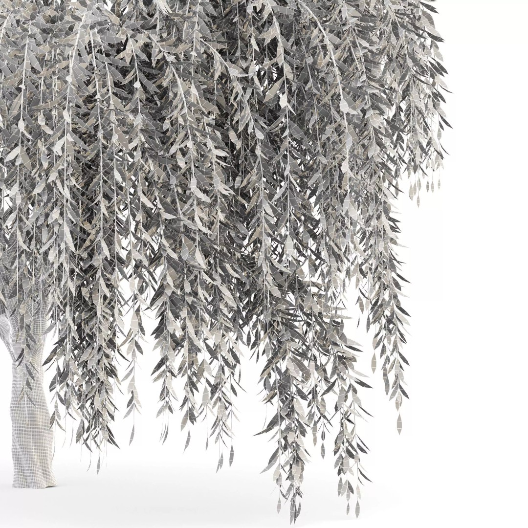 Weeping Willow and Birch 3D Model – Realistic Trees for Nature Scenes - View 7