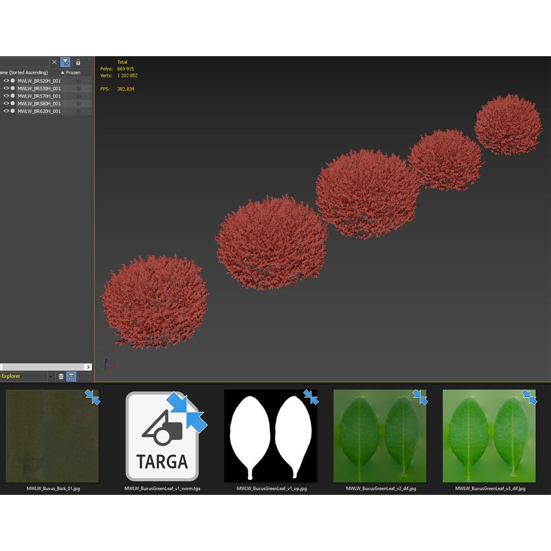 Boxwood Balls 3D Model – PBR Landscape Asset, FBX, OBJ