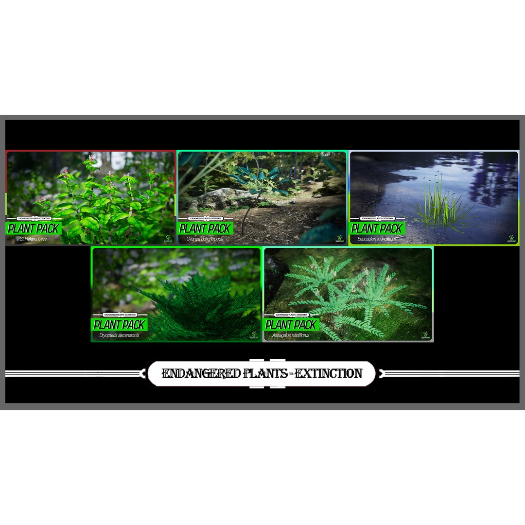 Mega Plant Pack 3D Model – Low Poly PBR Vegetation, FBX, OBJ - View 3