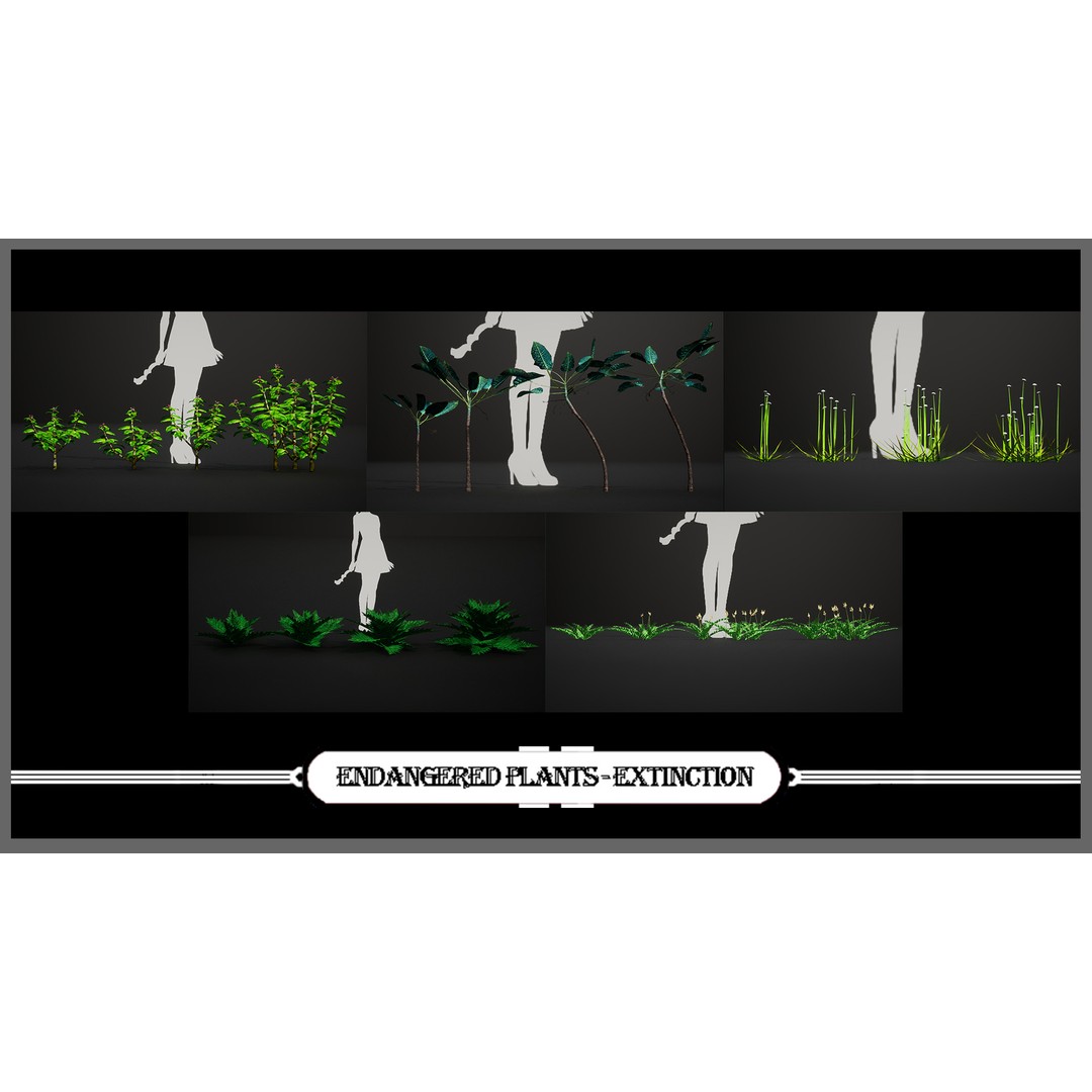 Mega Plant Pack 3D Model – Low Poly PBR Vegetation, FBX, OBJ - View 4