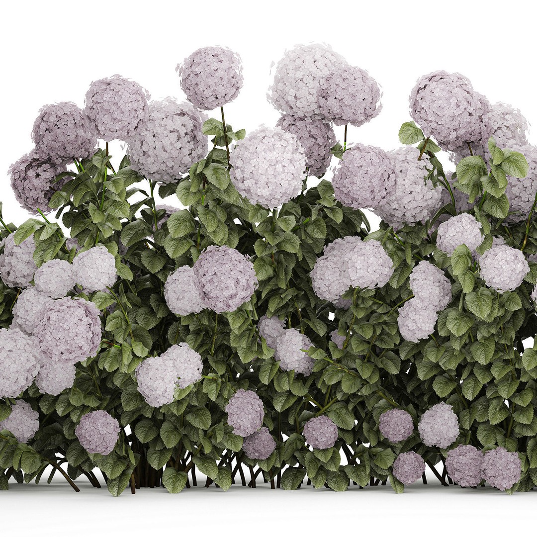 Purple Flowering Hydrangea 3D Model – Realistic Garden Bush, PBR - View 14