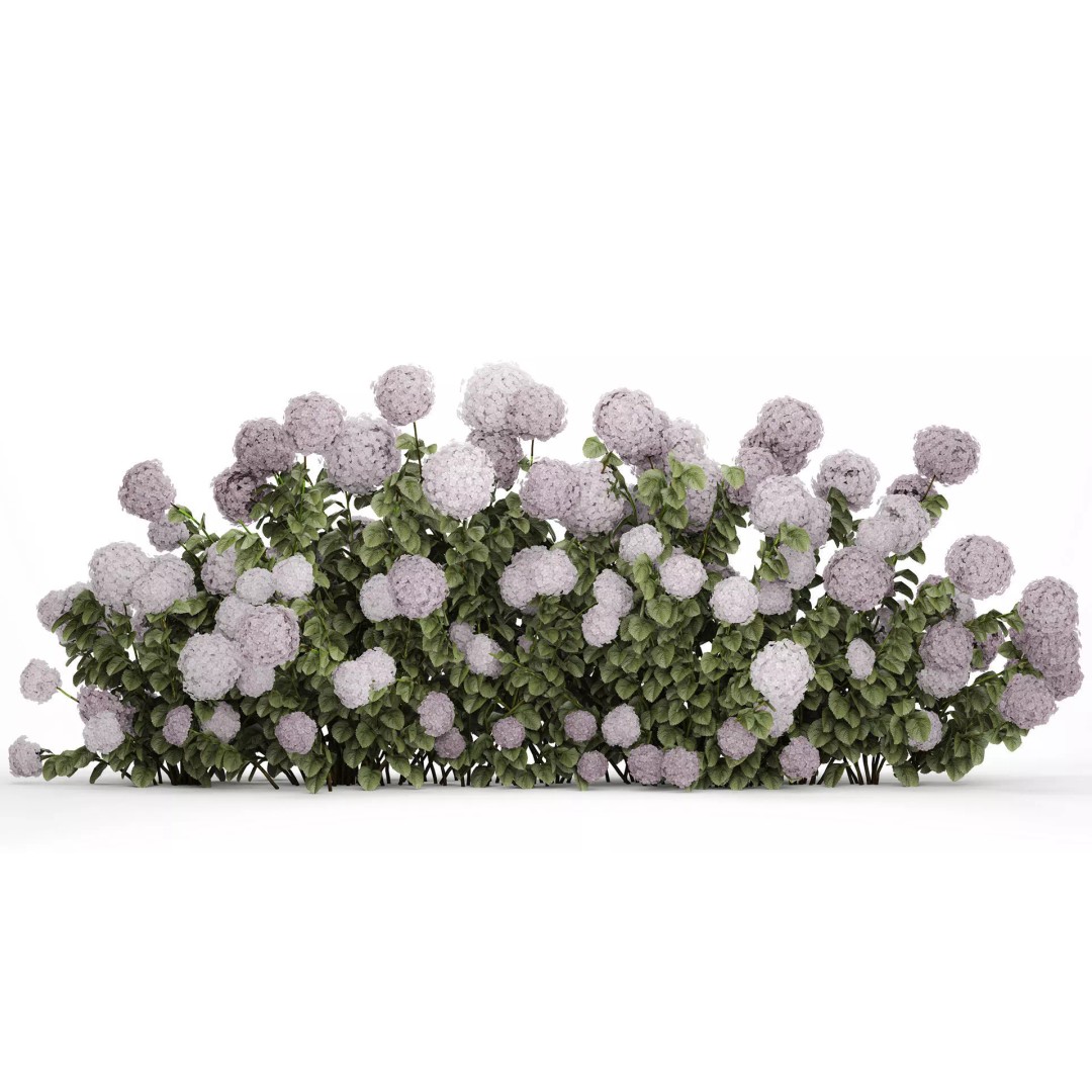 Purple Flowering Hydrangea 3D Model – Realistic Garden Bush, PBR - View 2