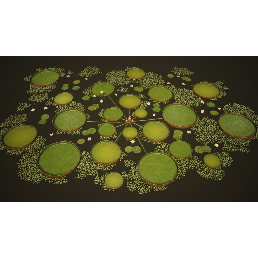 Water Plants 3D Model – Low Poly Vegetation Pack for Unity & Unreal - View 16