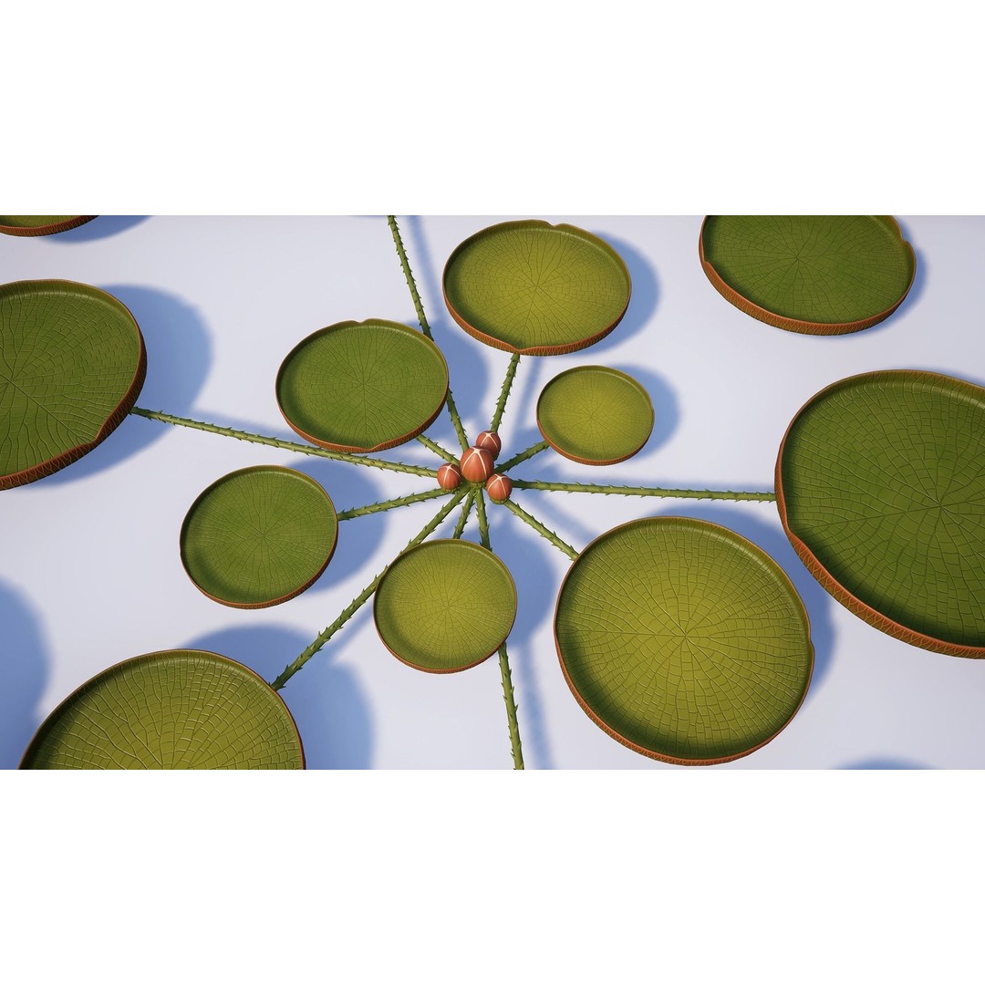 Water Plants 3D Model – Low Poly Vegetation Pack for Unity & Unreal - View 17