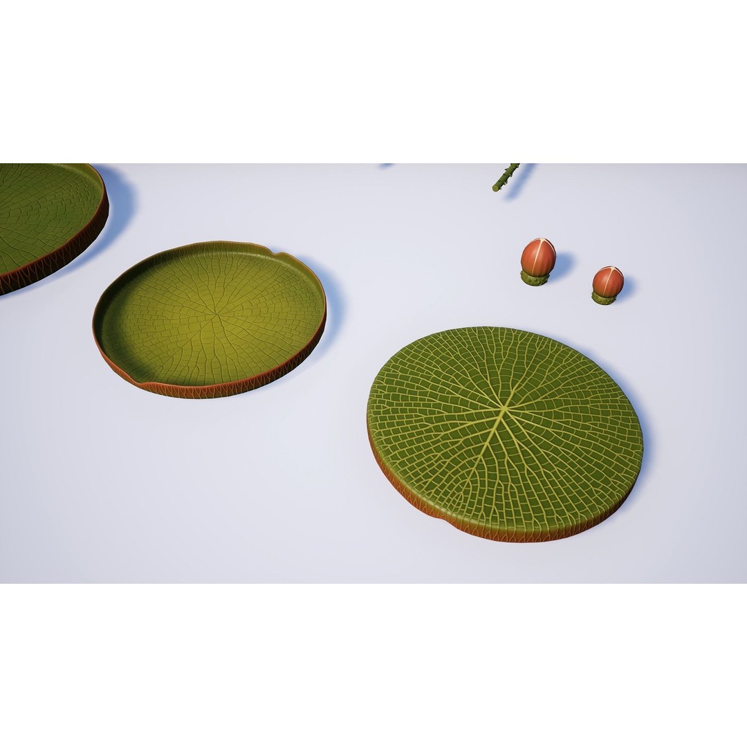 Water Plants 3D Model – Low Poly Vegetation Pack for Unity & Unreal - View 18