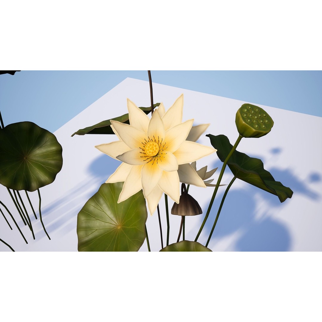 Water Plants 3D Model – Low Poly Vegetation Pack for Unity & Unreal - View 19