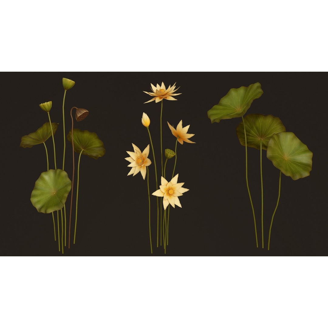 Water Plants 3D Model – Low Poly Vegetation Pack for Unity & Unreal - View 6