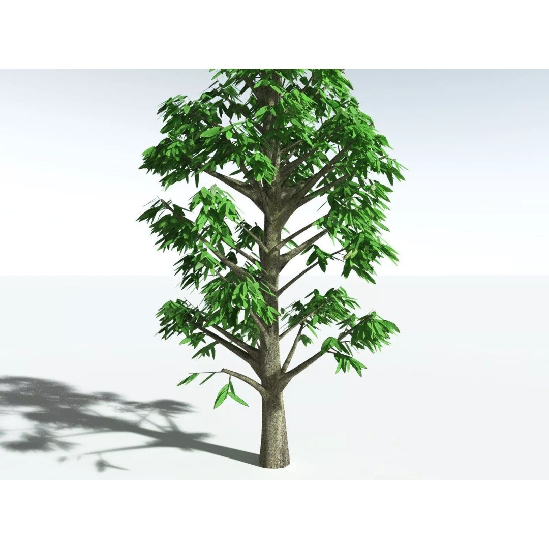 Cordaites Ludlowi 3D Model – High Poly Extinct Plant Asset, FBX - View 29